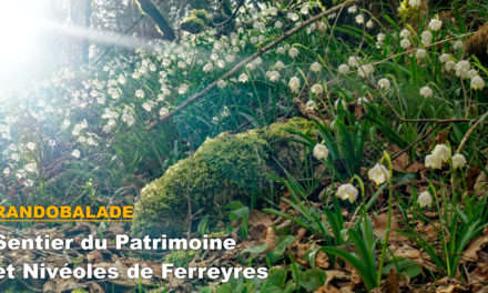 Randobalade: Sentier du Patrimoine et Nivéoles de Ferreyres