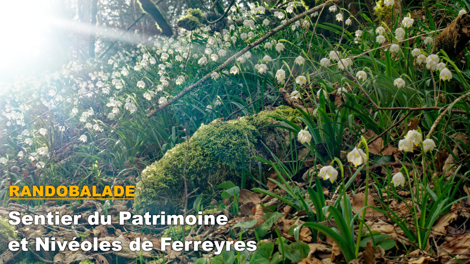 Randobalade: Sentier du Patrimoine et Nivéoles de Ferreyres