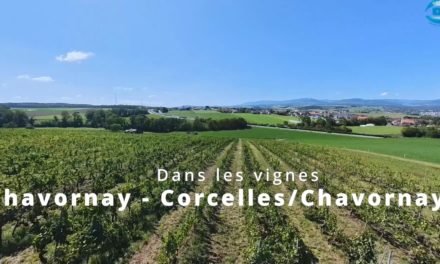Randobalade – Vignes et Jardins de Chavornay