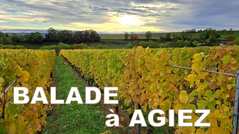 Balade pittoresque à Agiez : Entre vignes et gorges
