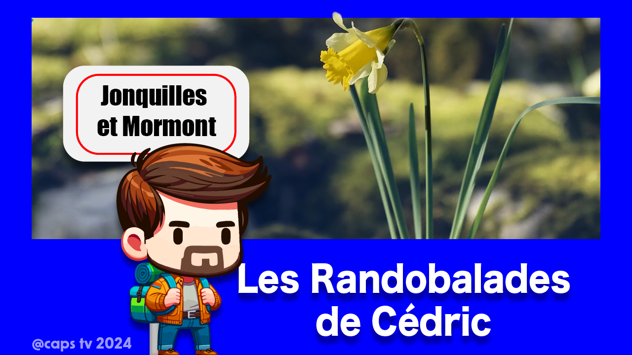 Randobalade – Jonquilles et Mormont